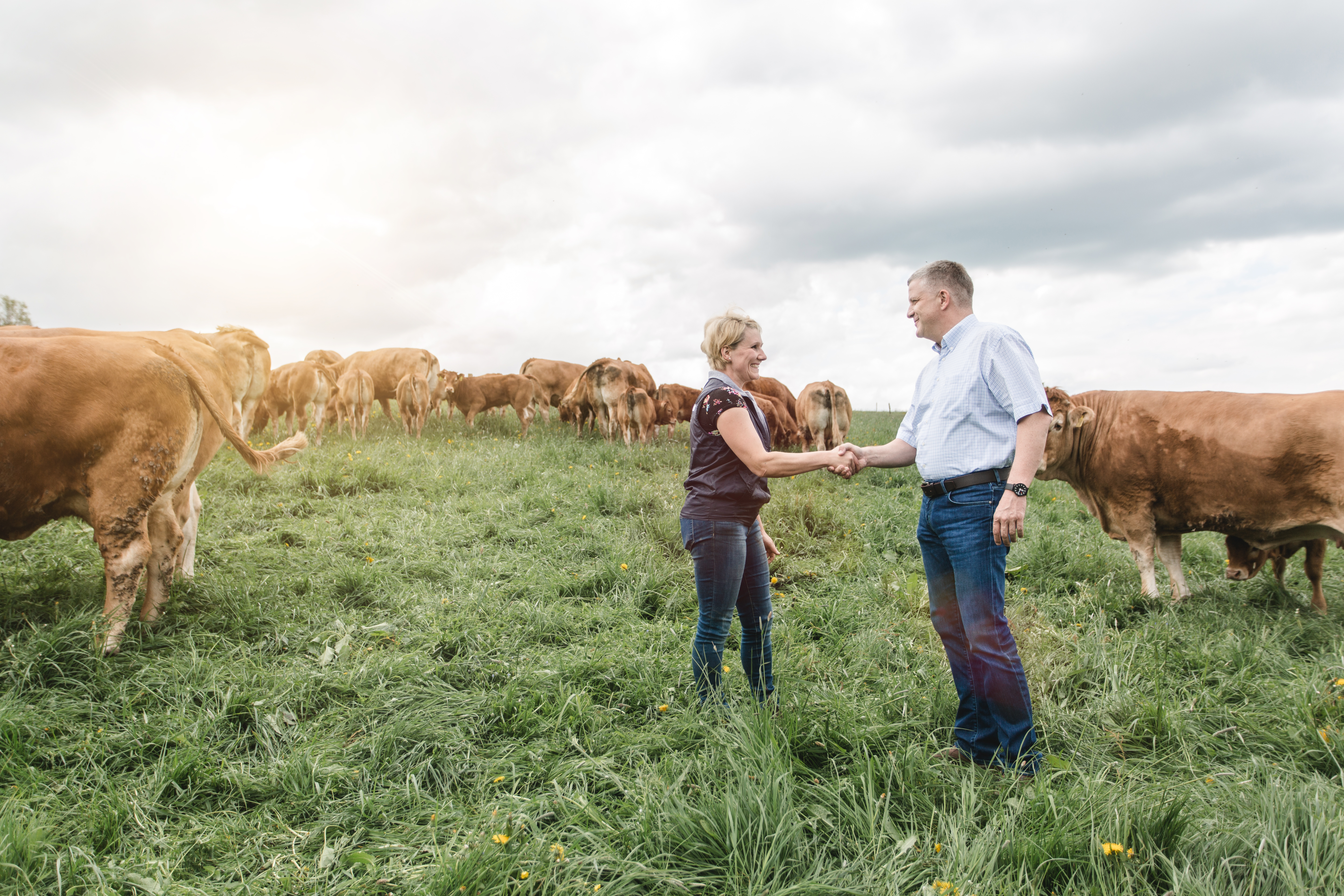 Limousinhof-Klemm-Frau